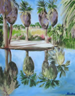 Palms at Agua Caliente